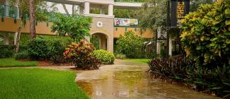 Rainy scenery at the PHSC West Campus
